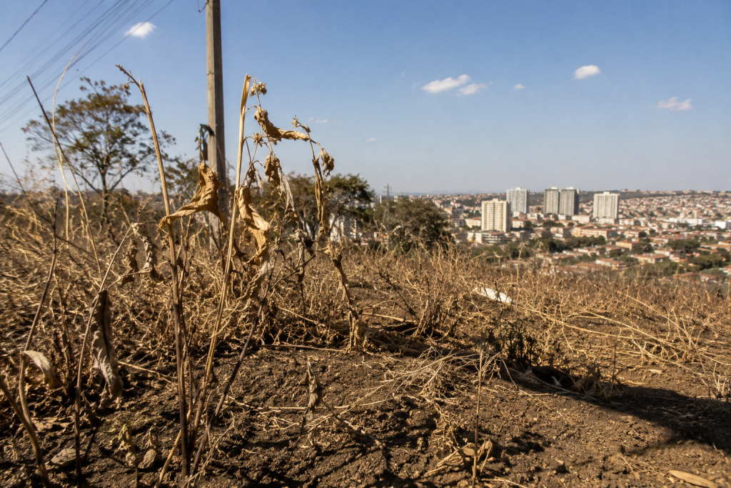 defesa-civil-alerta-para-aumento-do-risco-de-incendios-em-sao-paulo