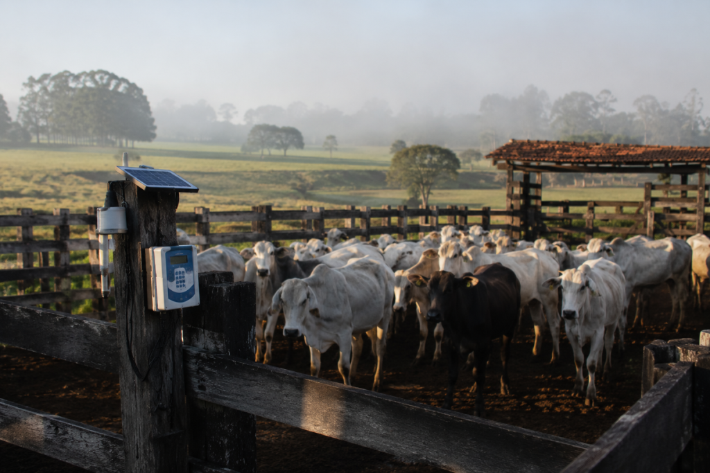 Produtores rurais de SP devem atualizar rebanhos no sistema Gedave até 11 de maio produtores-rurais-de-sp-devem-atualizar-rebanhos-no-sistema-gedave-ate-11-de-maio