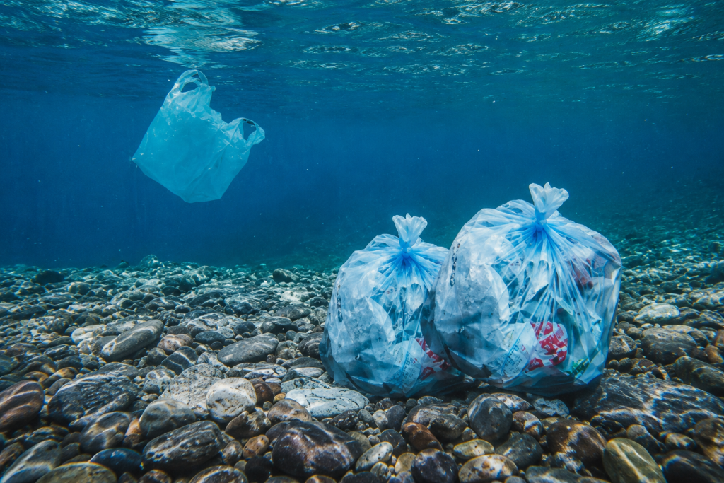 Pesquisa da USP encontra microplásticos em águas profundas da Bacia de Santos pesquisa-da-usp-encontra-microplasticos-em-aguas-profundas-da-bacia-de-santos