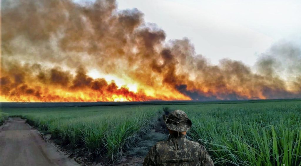 POLÍCIA MILITAR AMBIENTAL INTENSIFICA FISCALIZAÇÃO CONTRA QUEIMADAS EM TODO O ESTADO DE SP policia-militar-ambiental-intensifica-fiscalizacao-contra-queimadas-em-todo-o-estado-de-sp