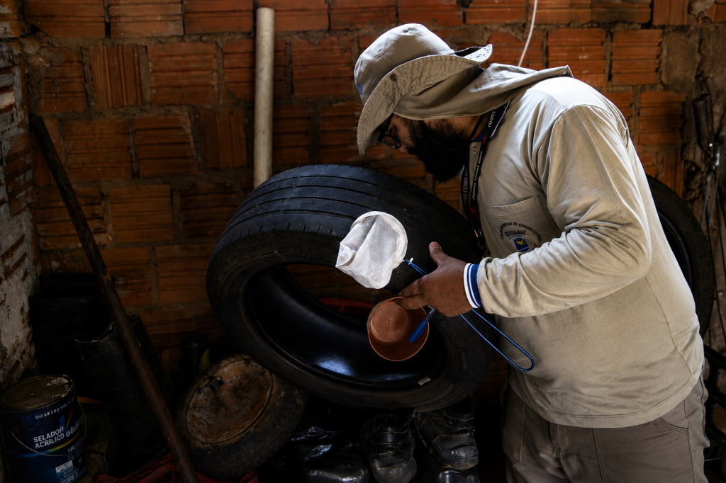 MS registra 6.360 casos confirmados de chikungunya ms-registra-6.360-casos-confirmados-de-chikungunya