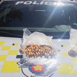 trafico-internacional-de-drogas-|-mais-de-1-kg-de-cocaina-apreendido