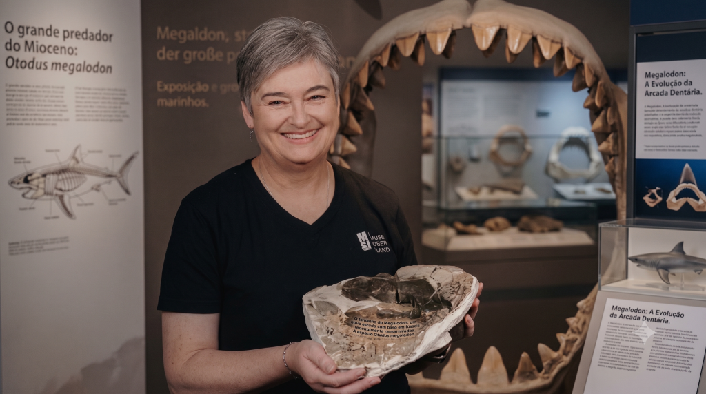 MEGALODON GIGANTES DO EXTINTO megalodon-gigantes-do-extinto