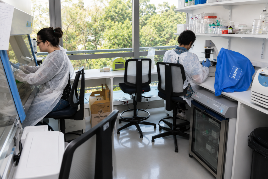 Projeto da USP usará inteligência artificial para mapear risco de dengue em São Paulo projeto-da-usp-usara-inteligencia-artificial-para-mapear-risco-de-dengue-em-sao-paulo