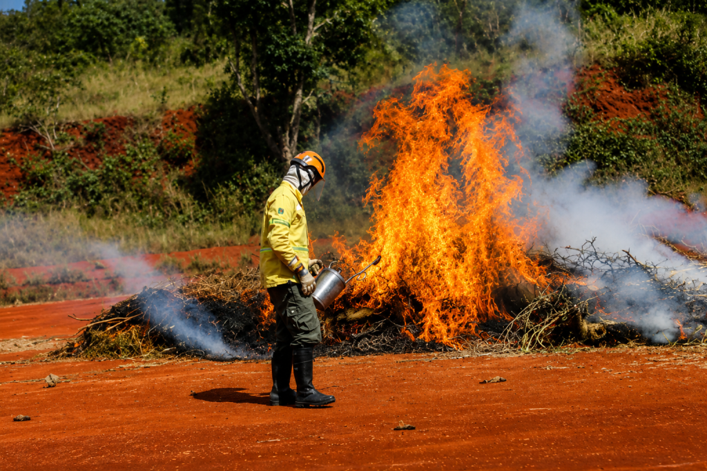 Ação humana causa 9 em cada 10 incêndios em São Paulo acao-humana-causa-9-em-cada-10-incendios-em-sao-paulo